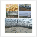 Automatic Chiken Shed Control Equipment for Broiler